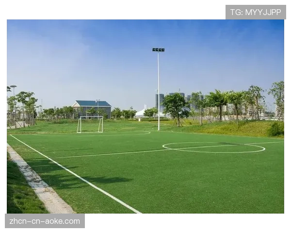 普鲁士公园球场草皮完成升级，旨在提供更佳场地以支持快节奏比赛